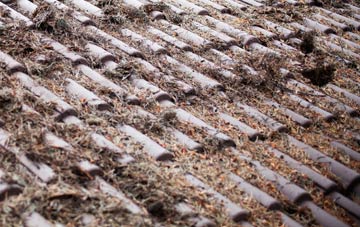 Weston Bampfylde roof cleaning companies