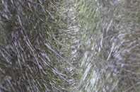 Weston Bampfylde fibreglass roof work