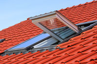 Weston Bampfylde roof window
